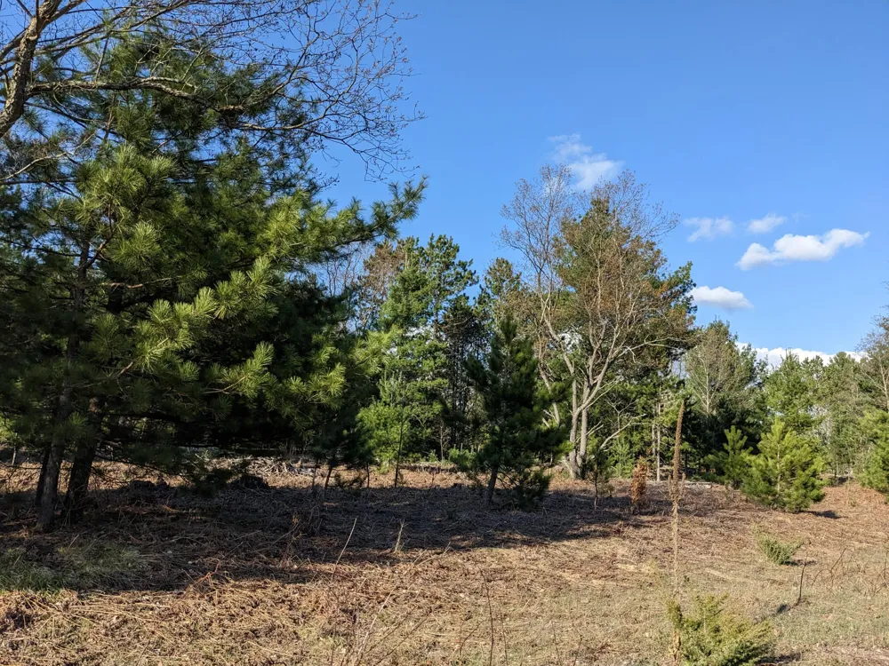 Bergstrom Drive Kaleva, MI 49645