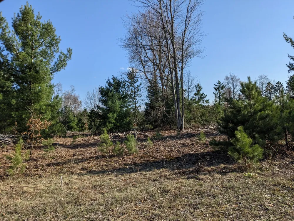Bergstrom Drive Kaleva, MI 49645