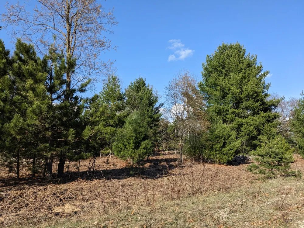 Bergstrom Drive Kaleva, MI 49645