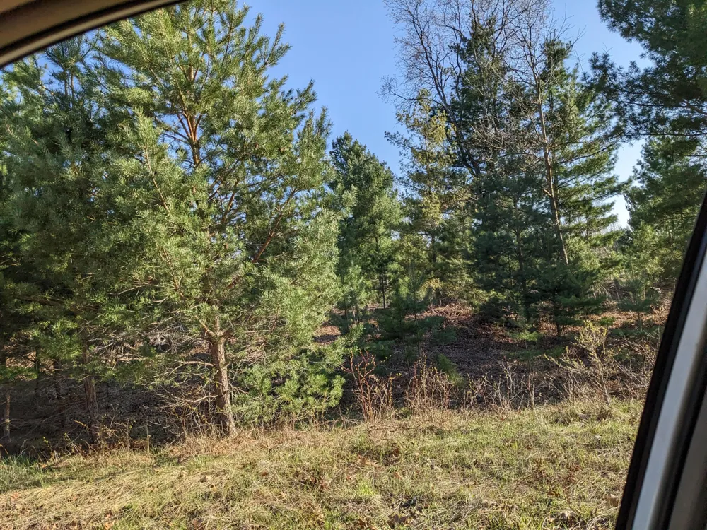 Bergstrom Drive Kaleva, MI 49645
