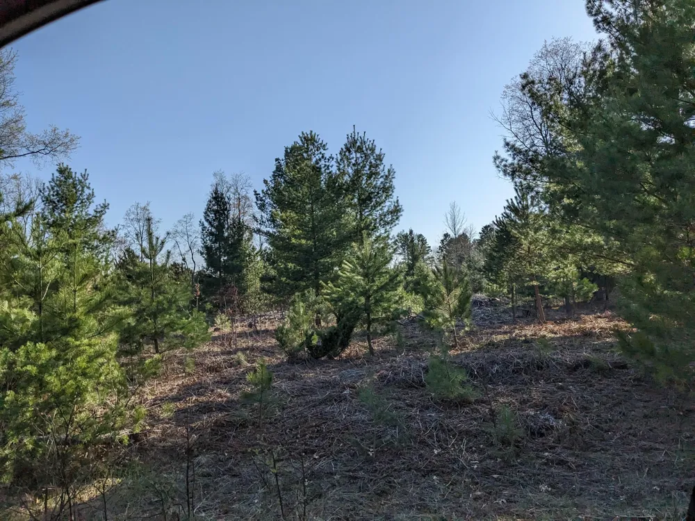 Bergstrom Drive Kaleva, MI 49645