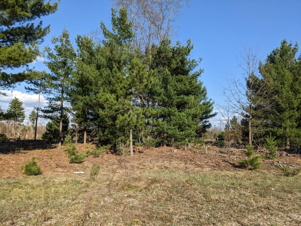 Bergstrom Drive Kaleva, MI 49645