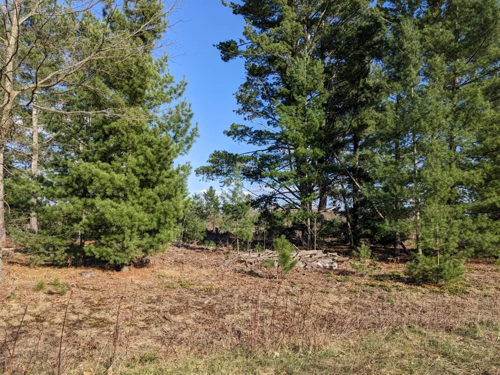 Bergstrom Drive Kaleva, MI 49645