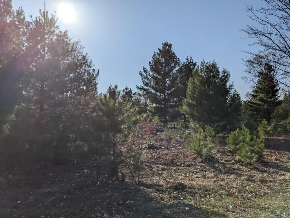Bergstrom Drive Kaleva, MI 49645