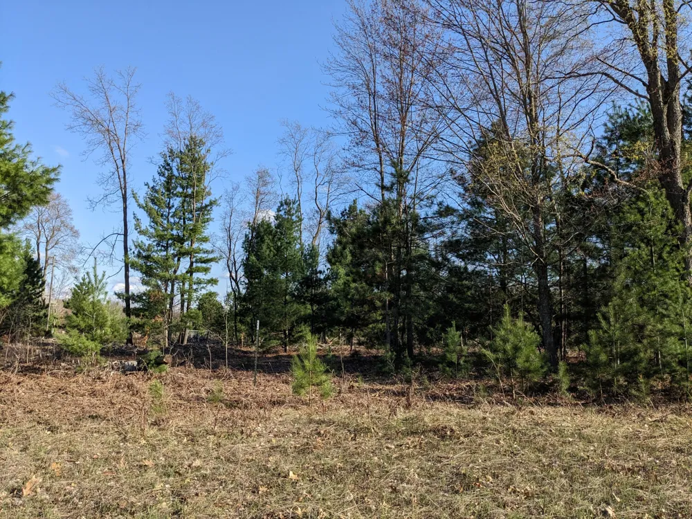 Bergstrom Drive Kaleva, MI 49645