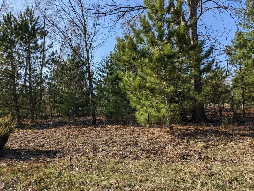 Bergstrom Drive Kaleva, MI 49645
