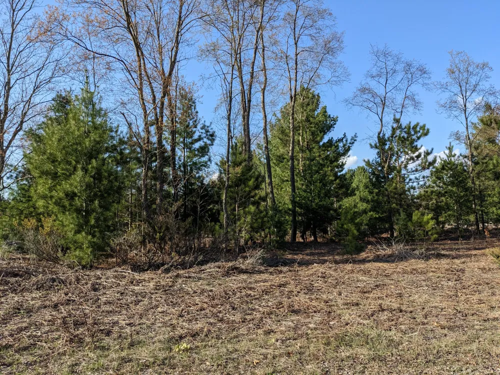 Bergstrom Drive Kaleva, MI 49645