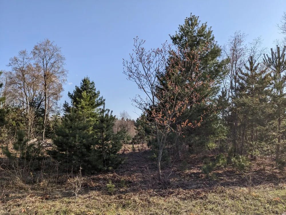 Bergstrom Drive Kaleva, MI 49645