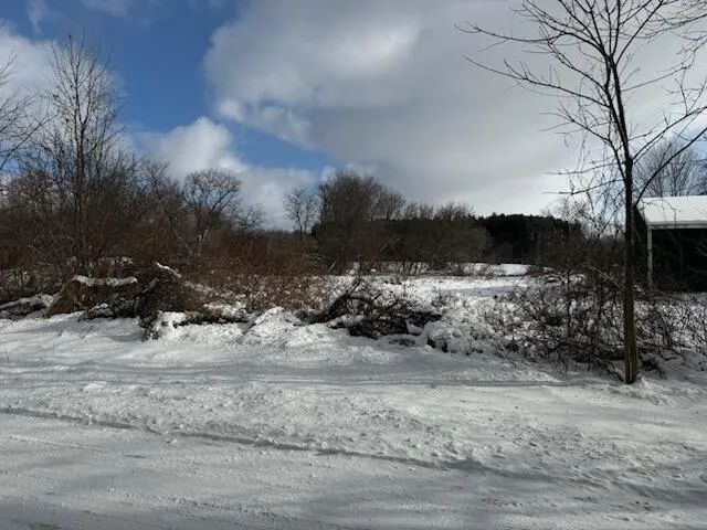 7628 Marble Road Howard City, MI 49329
