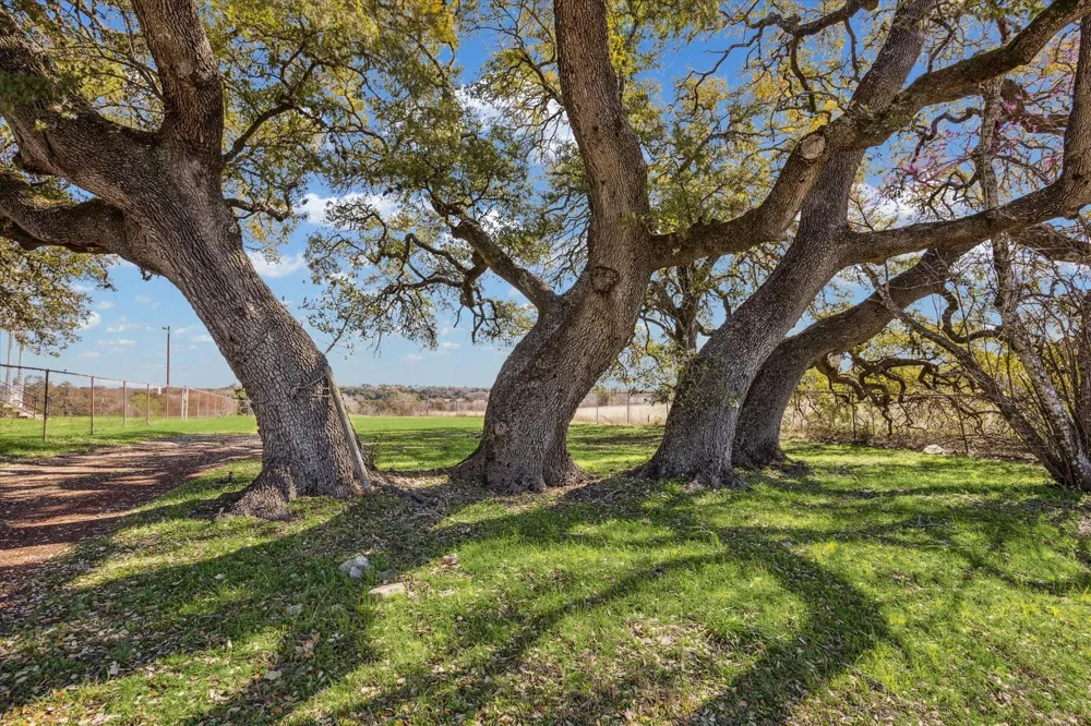 1118 Fm 1697 Burton, TX 77835