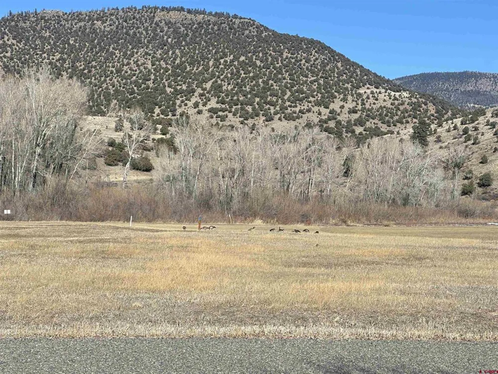 160 Riverside Court South Fork, CO 81154