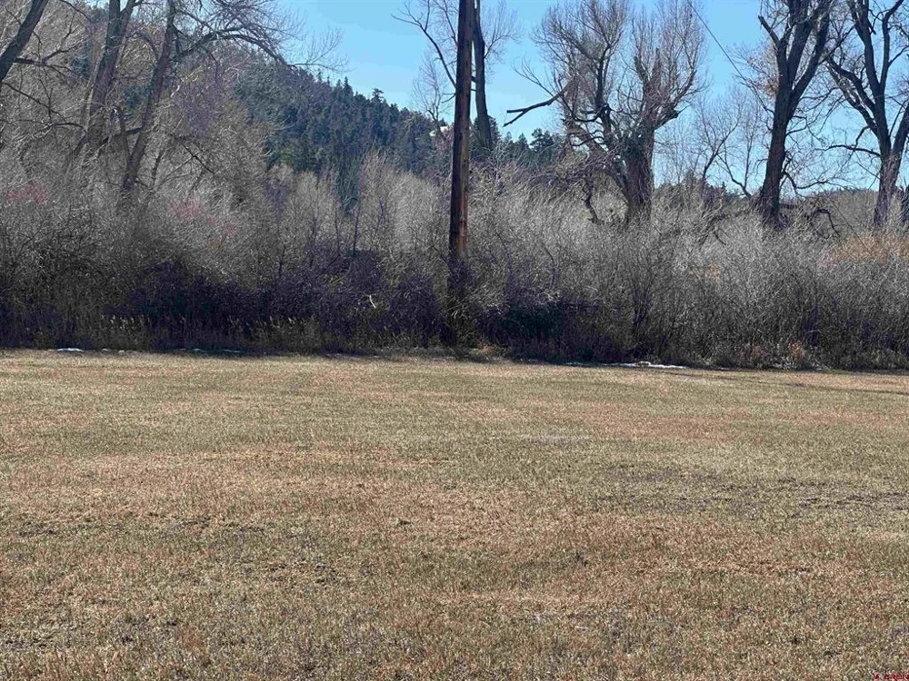 160 Riverside Court South Fork, CO 81154
