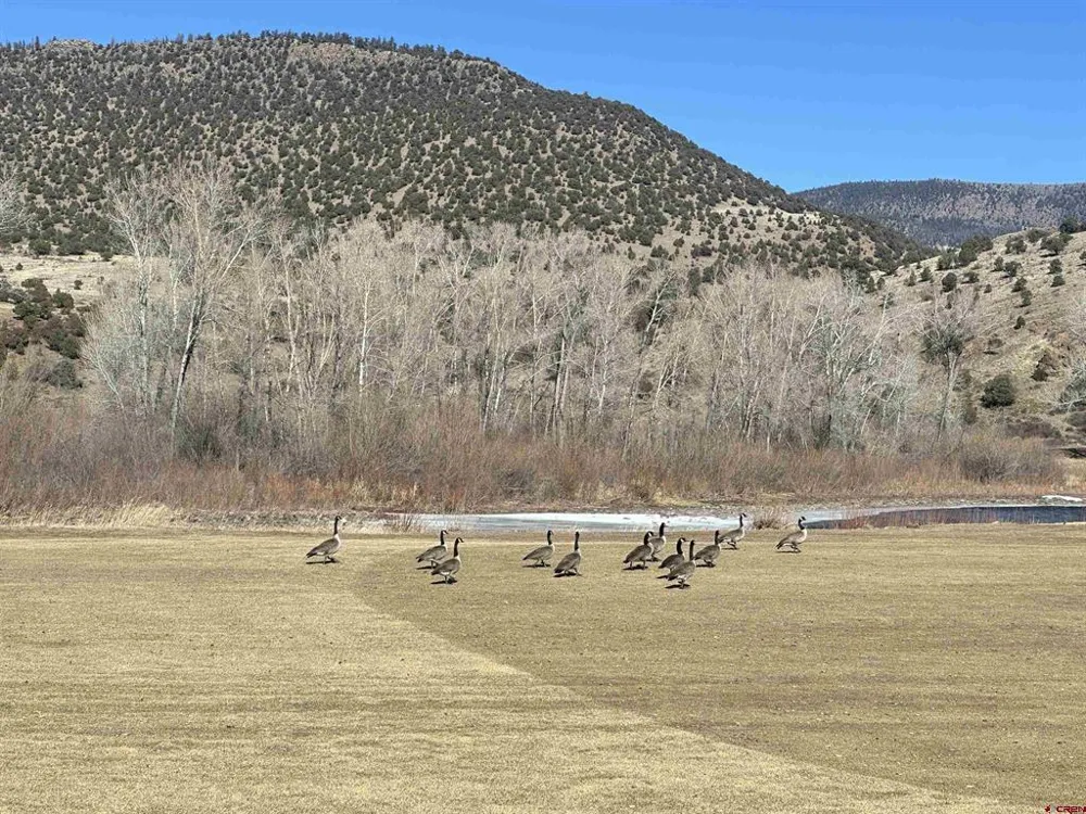 160 Riverside Court South Fork, CO 81154