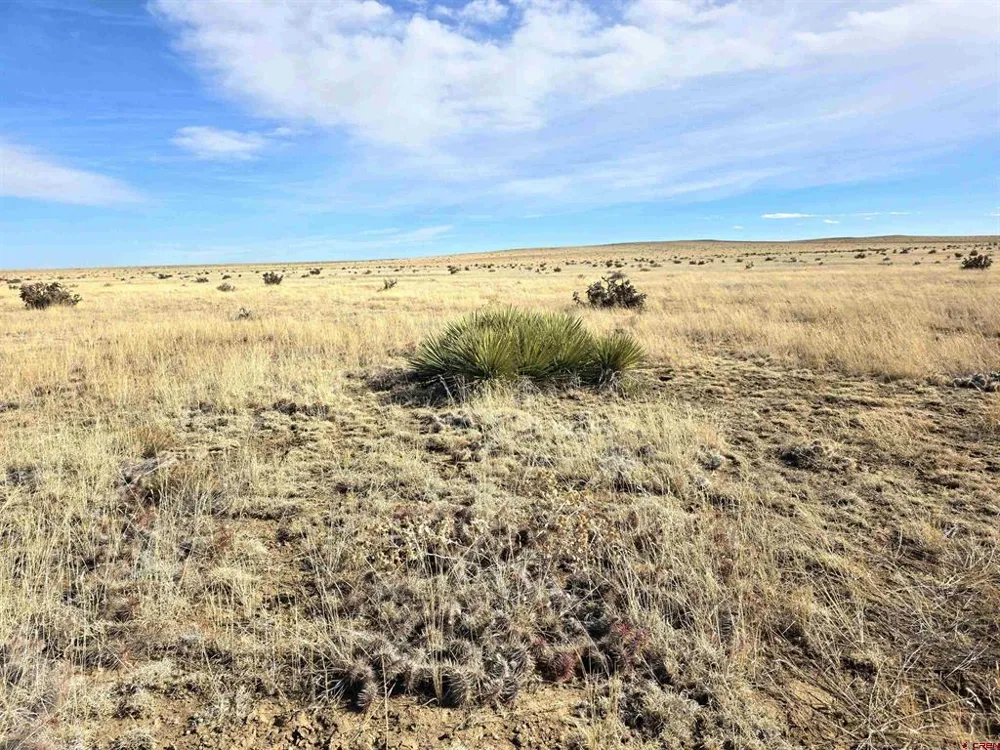 County Road 103 Walsenburg, CO 81089