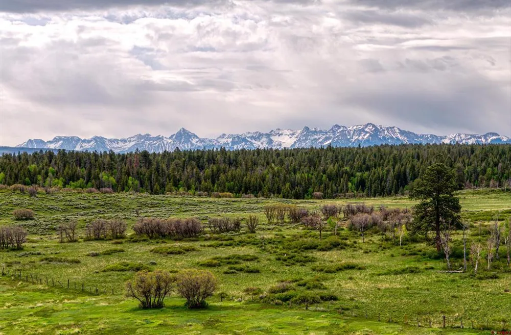 Hanks Valley Road Montrose, CO 81403