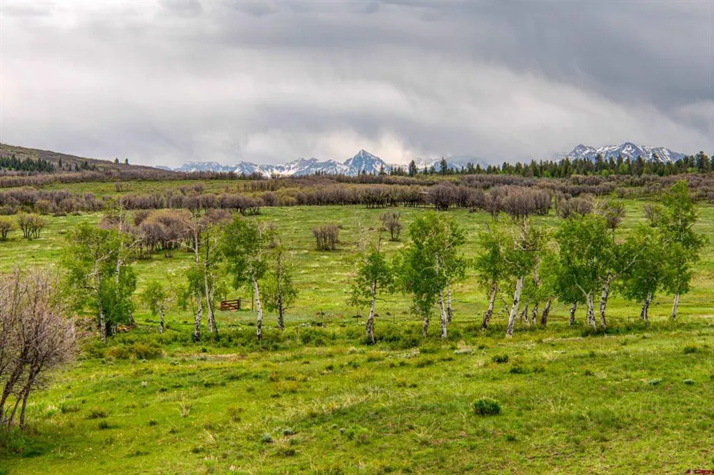 Hanks Valley Road Montrose, CO 81403