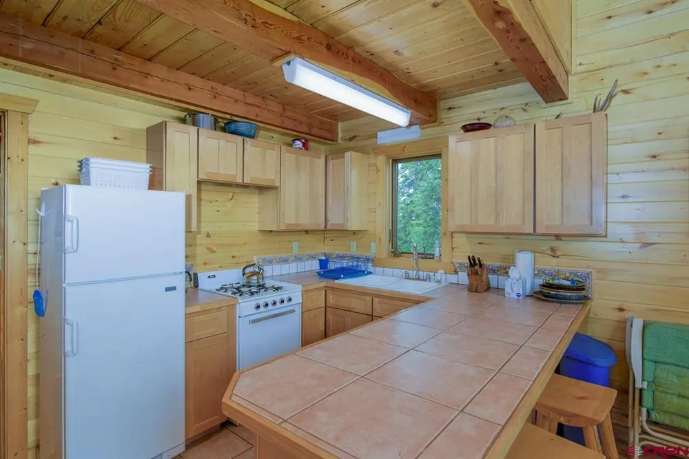 220 Geneva Lane Pitkin, CO 81241