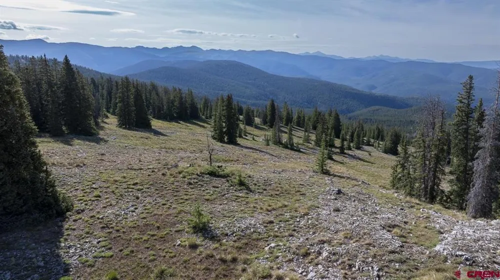220 Geneva Lane Pitkin, CO 81241