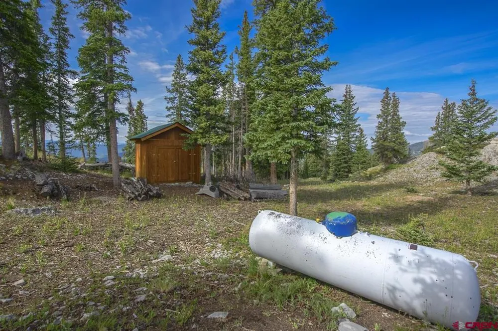 220 Geneva Lane Pitkin, CO 81241