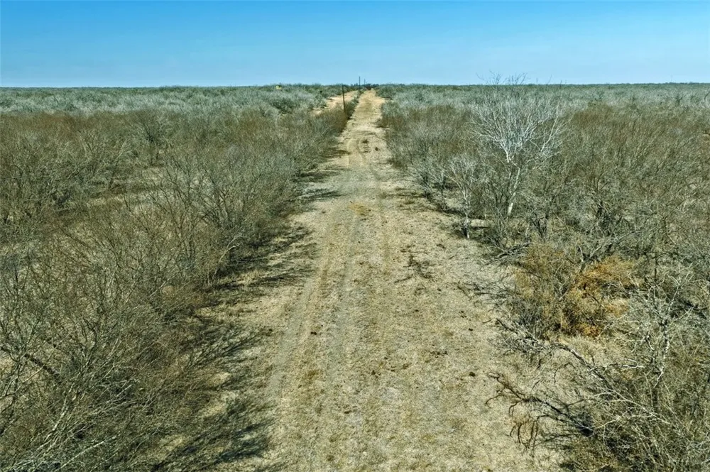 2104 CR 440 Alice, TX 78332
