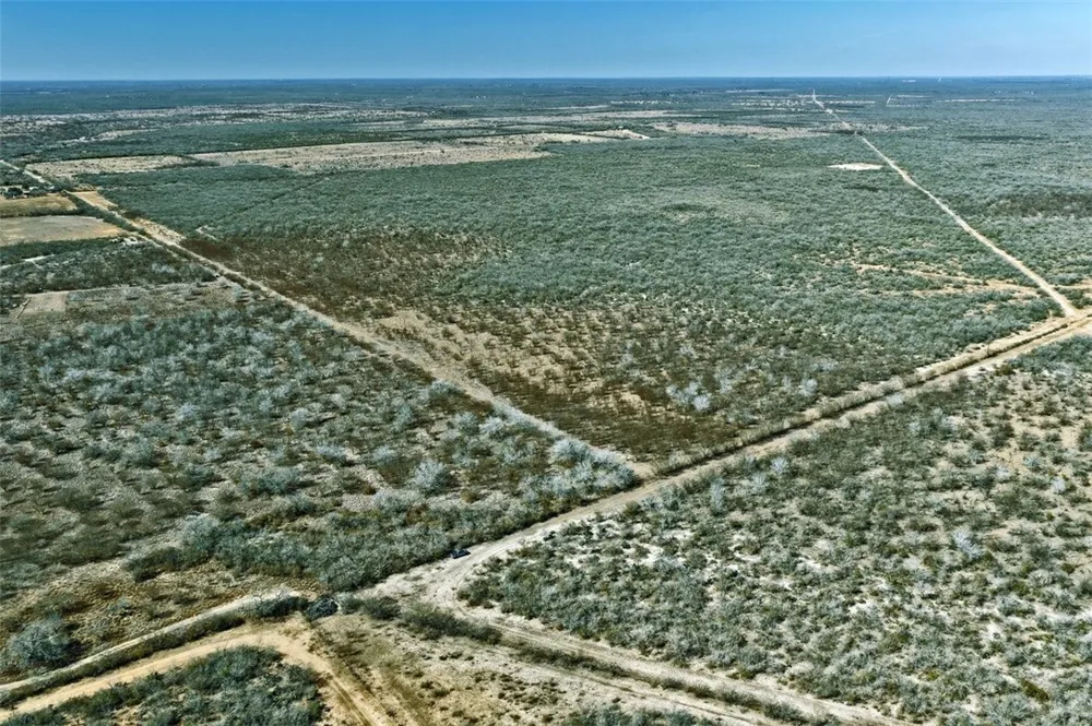 2104 CR 440 Alice, TX 78332