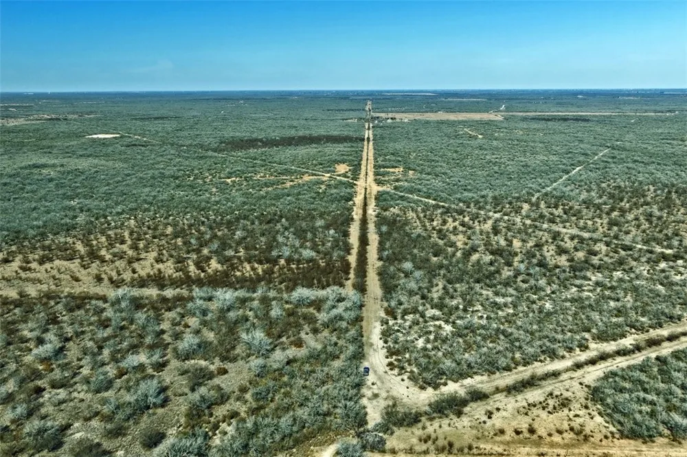 2104 CR 440 Alice, TX 78332