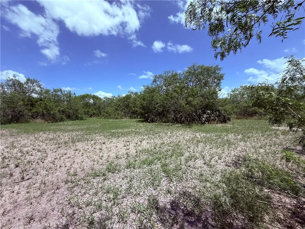5742 Hidden Valley Loop Sandia, TX 78383