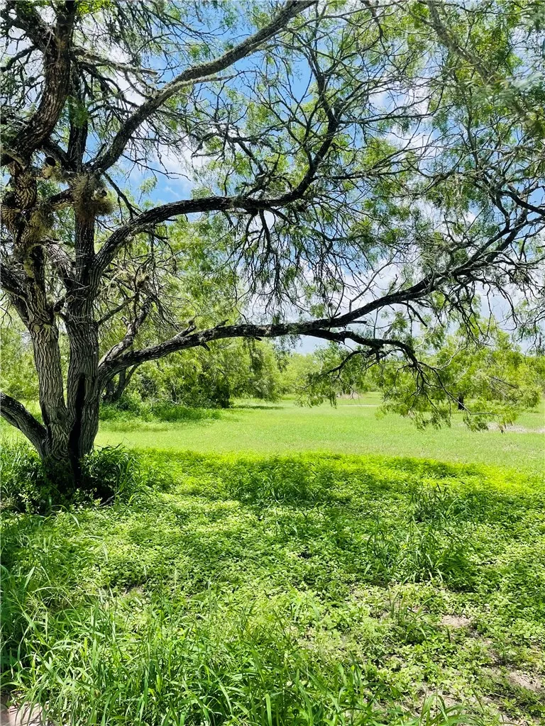 5742 Hidden Valley Loop Sandia, TX 78383