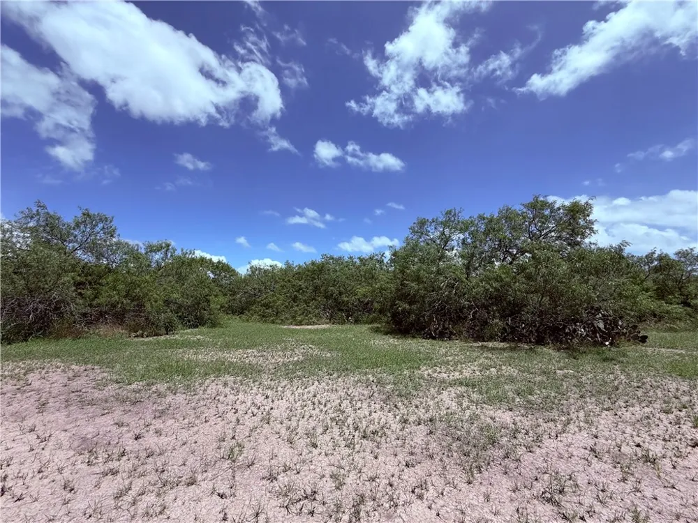 5742 Hidden Valley Loop Sandia, TX 78383