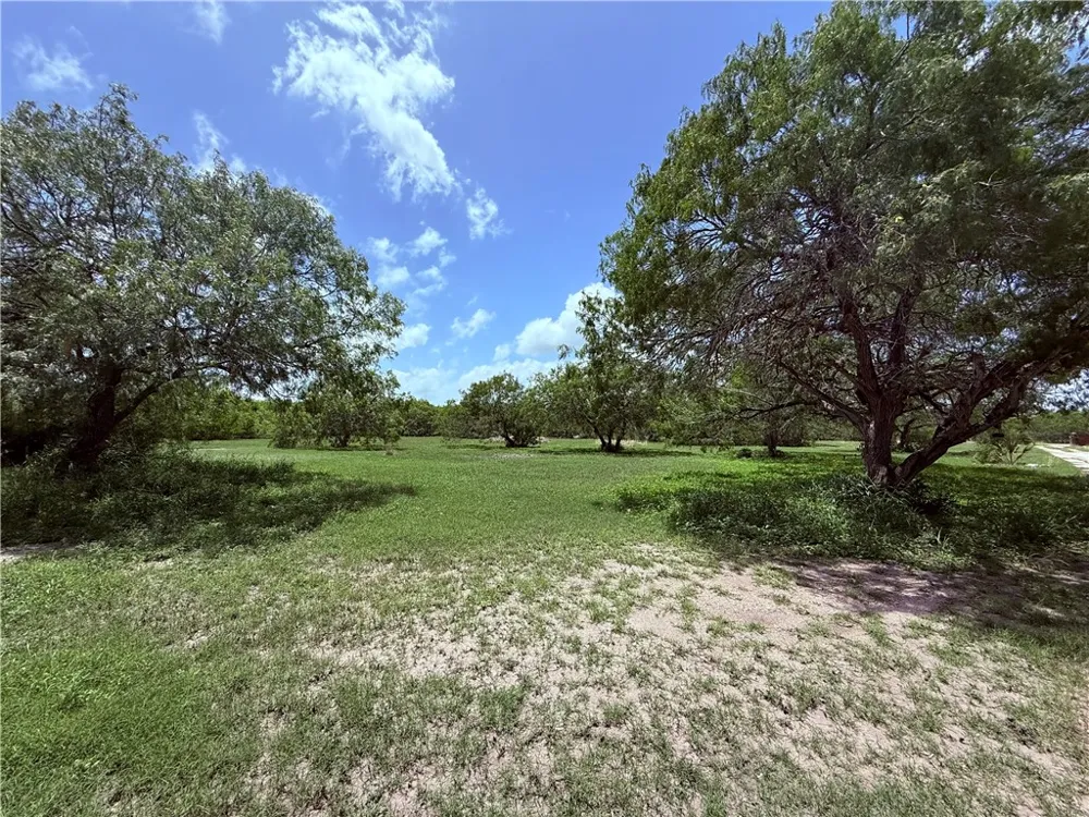 5742 Hidden Valley Loop Sandia, TX 78383
