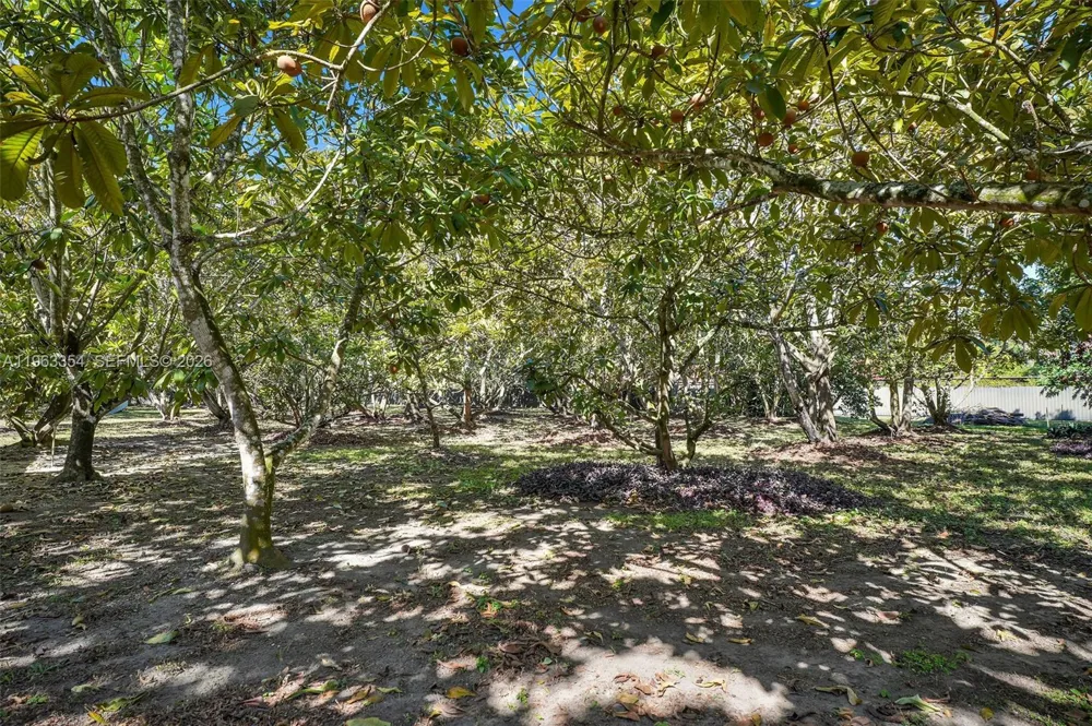 19955 SW 186th St Miami, FL 33187