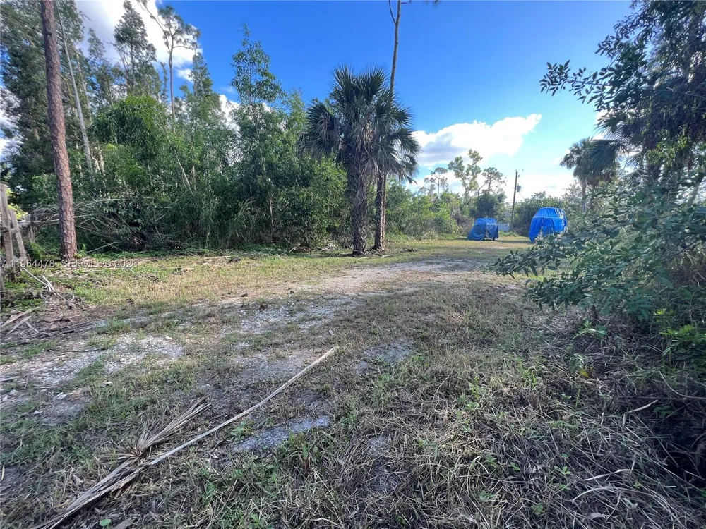 3050 Pine Tree Dr Naples, FL 34112