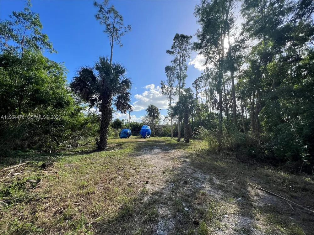 3050 Pine Tree Dr Naples, FL 34112