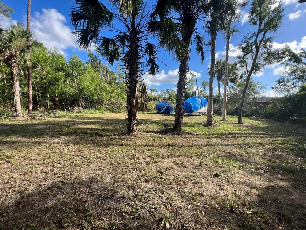 3050 Pine Tree Dr Naples, FL 34112