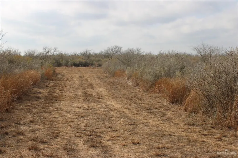 0 Private Encino, TX 78353