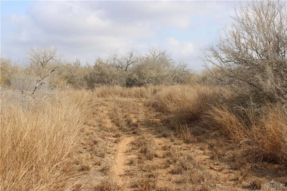 0 Private Encino, TX 78353