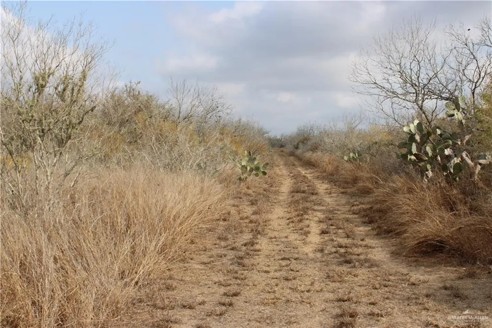 0 Private Encino, TX 78353