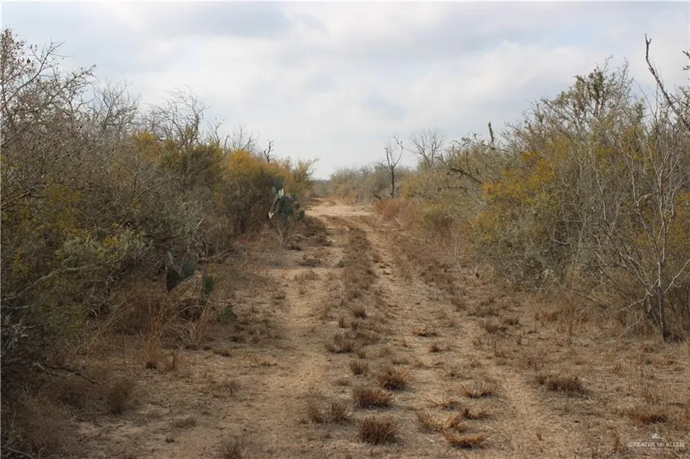 0 Private Encino, TX 78353