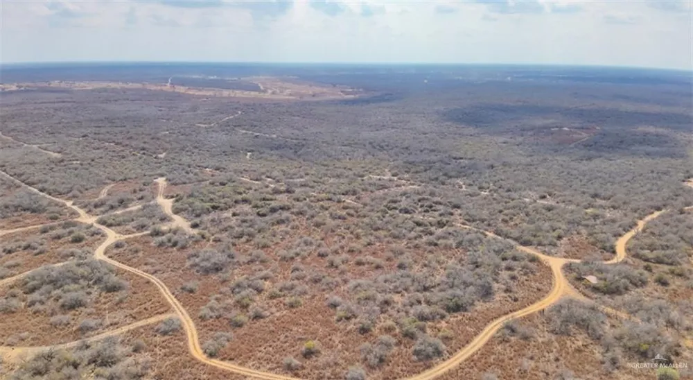 0 Private Encino, TX 78353