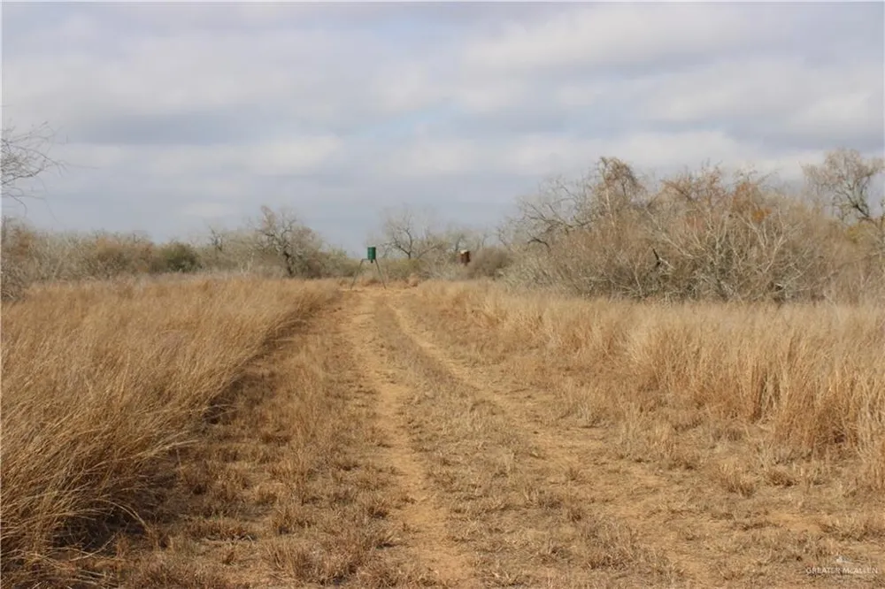 0 Private Encino, TX 78353
