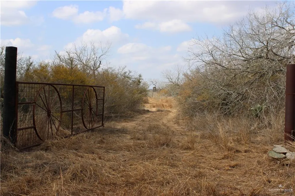 0 Private Encino, TX 78353