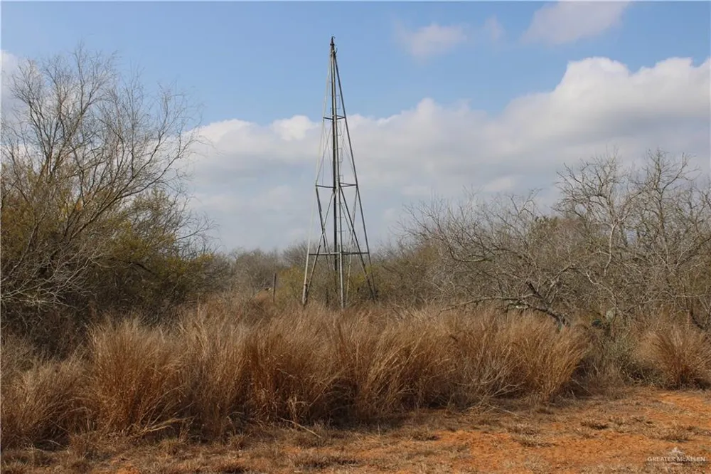 0 Private Encino, TX 78353