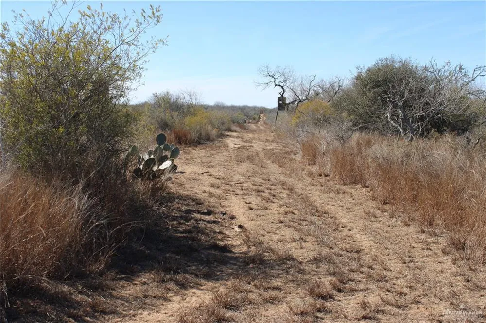 0 Private Encino, TX 78353