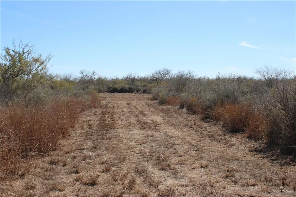 0 Private Encino, TX 78353