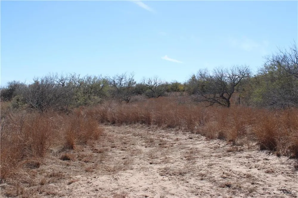 0 Private Encino, TX 78353