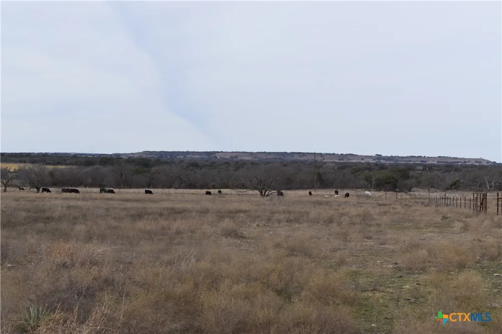 3619 N Fm 1702 Hamilton, TX 76531