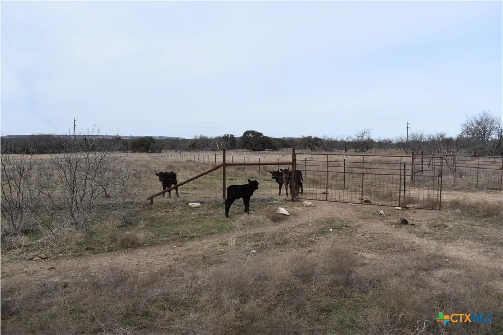 3619 N Fm 1702 Hamilton, TX 76531