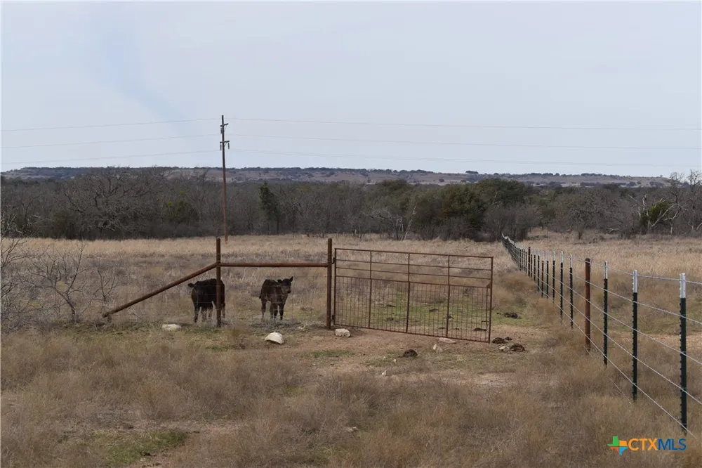 3619 N Fm 1702 Hamilton, TX 76531