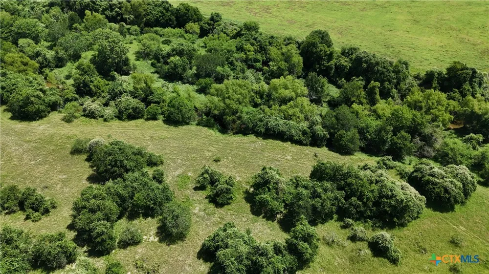 750 Lassman Road Goliad, TX 77963
