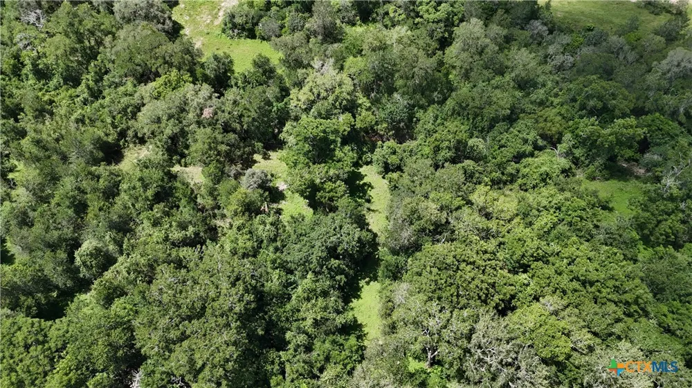 750 Lassman Road Goliad, TX 77963